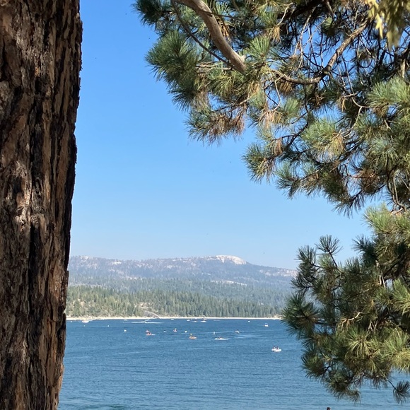 Meet your Posher, Marcella - Picture 13 of 17